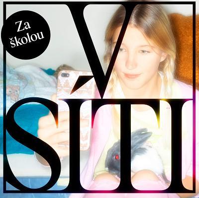 V síti