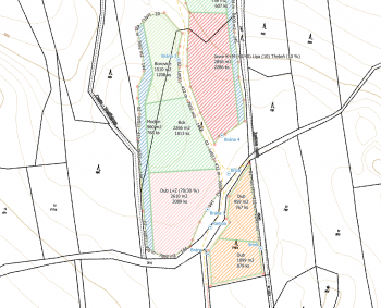 Jak jsem opět potkal QGIS, aneb jak zdarma mapovat v terénu s mobilem v ruce, když potřebujete v lese zasázet holinu po „útoku kůrovce“...