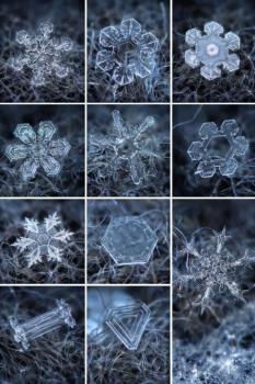 sněhové vločky pod mikroskopem